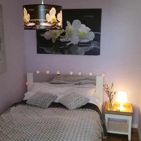 Apartament Rita Apartment *